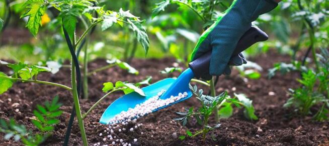 Digital tools needed to help apply fertiliser targets to national level, say stakeholders