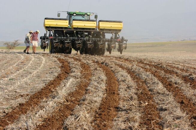 Getting Started in Strip-Till: Making a Successful Transition