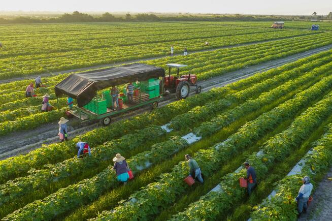 193 projects for investments in crop production
